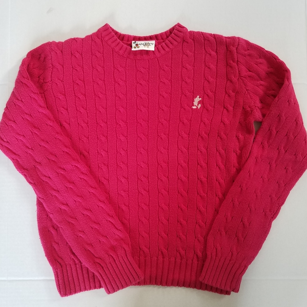 Mickey Mouse sweater from Disney World